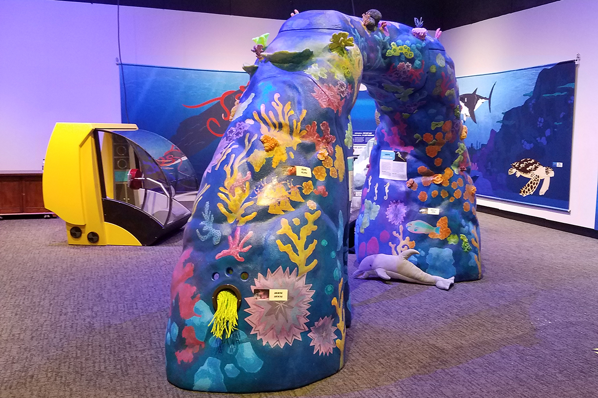 overview of Ocean Adventure! Coral reef